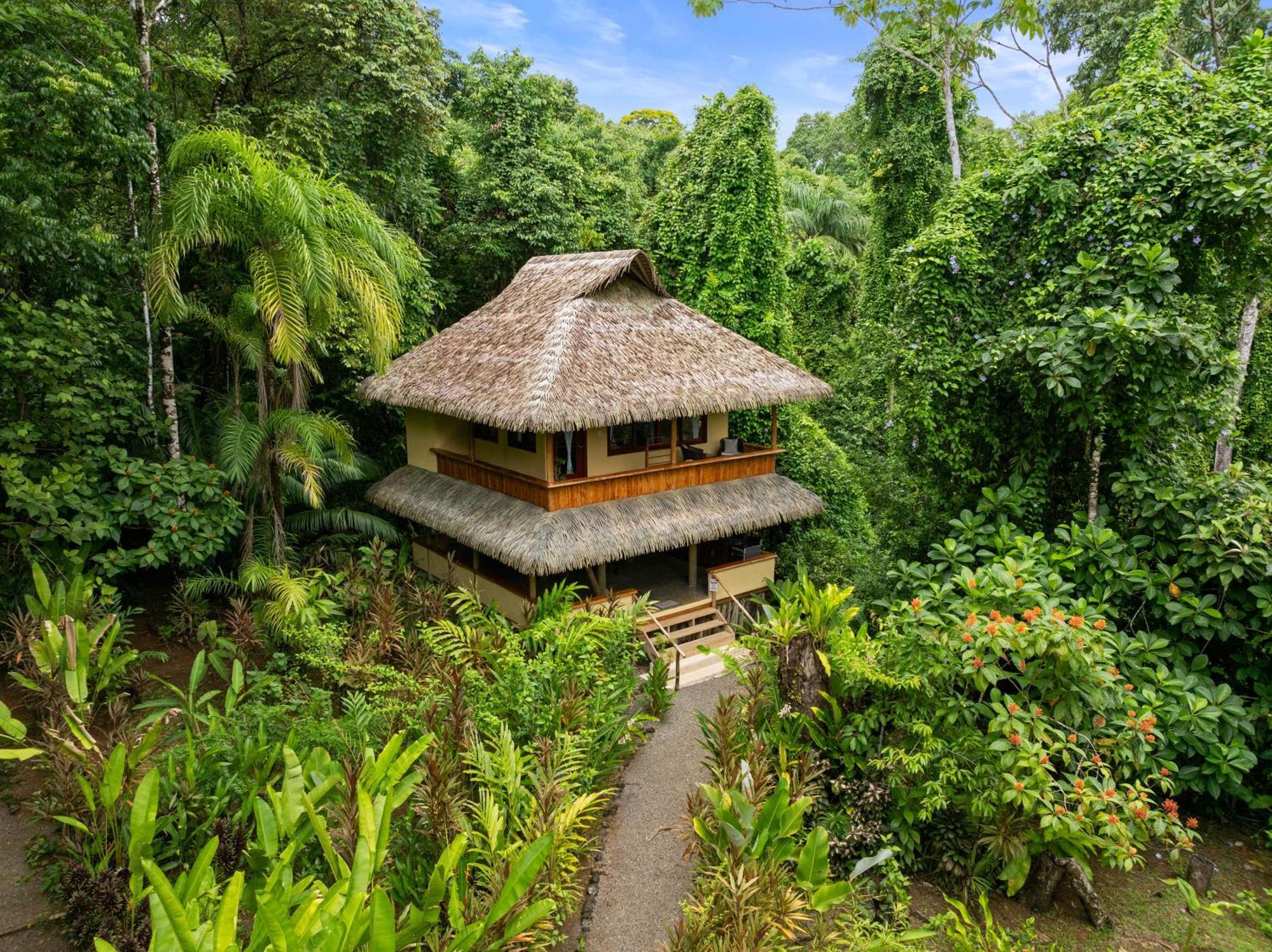 Copa De Arbol Beach & Rainforest Resort Drake Bay Bagian luar foto