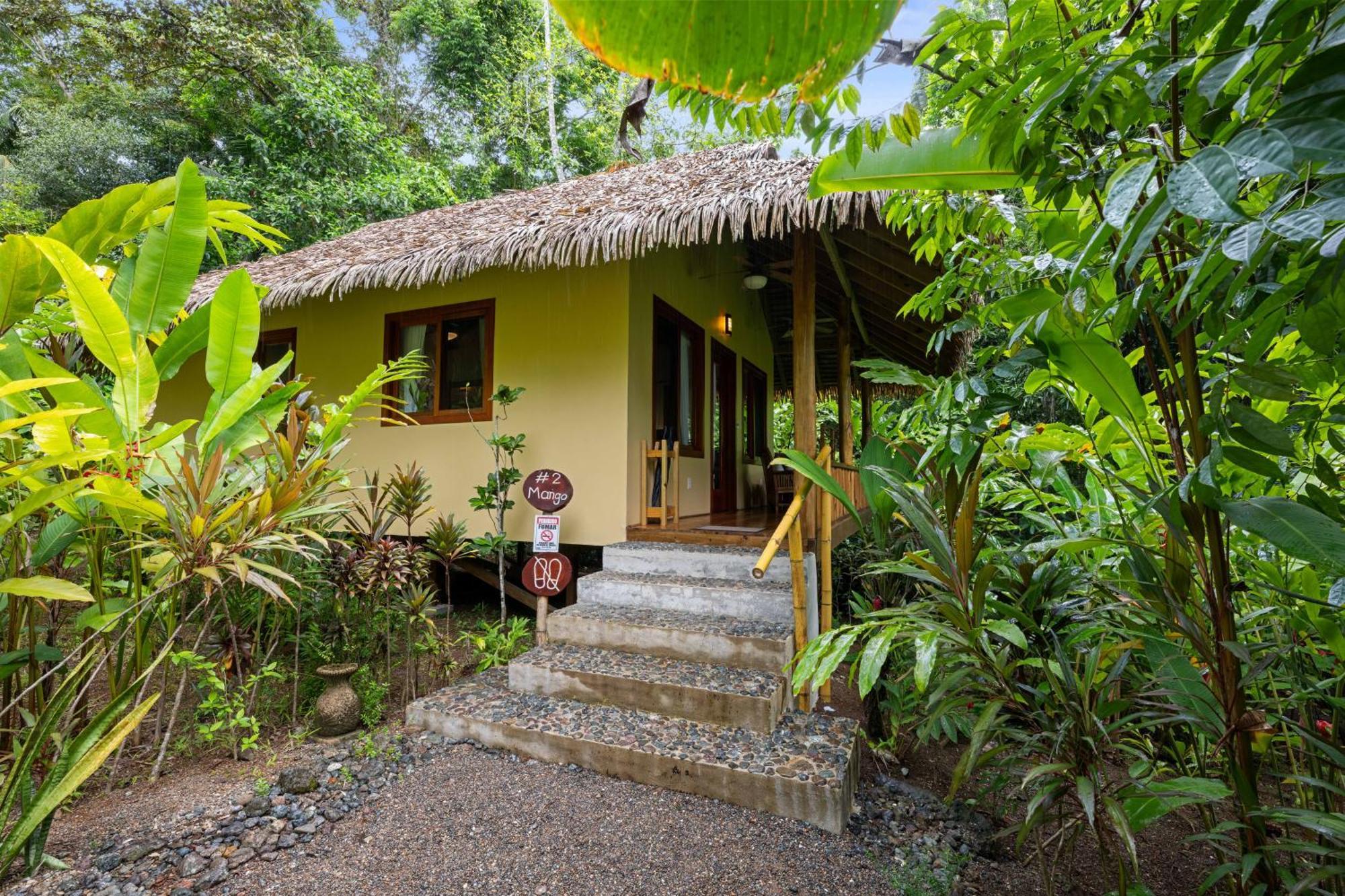 Copa De Arbol Beach & Rainforest Resort Drake Bay Bagian luar foto