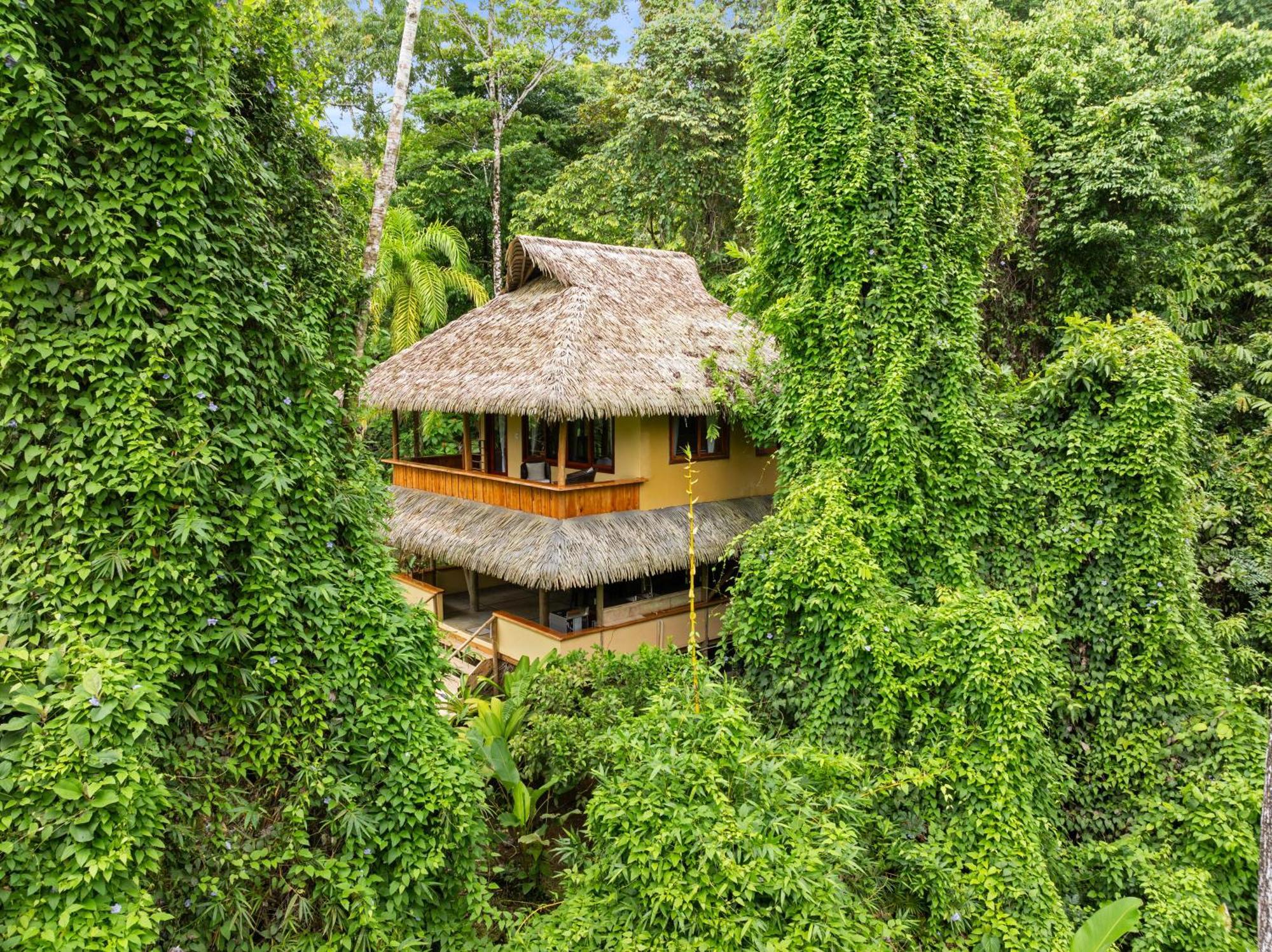 Copa De Arbol Beach & Rainforest Resort Drake Bay Bagian luar foto
