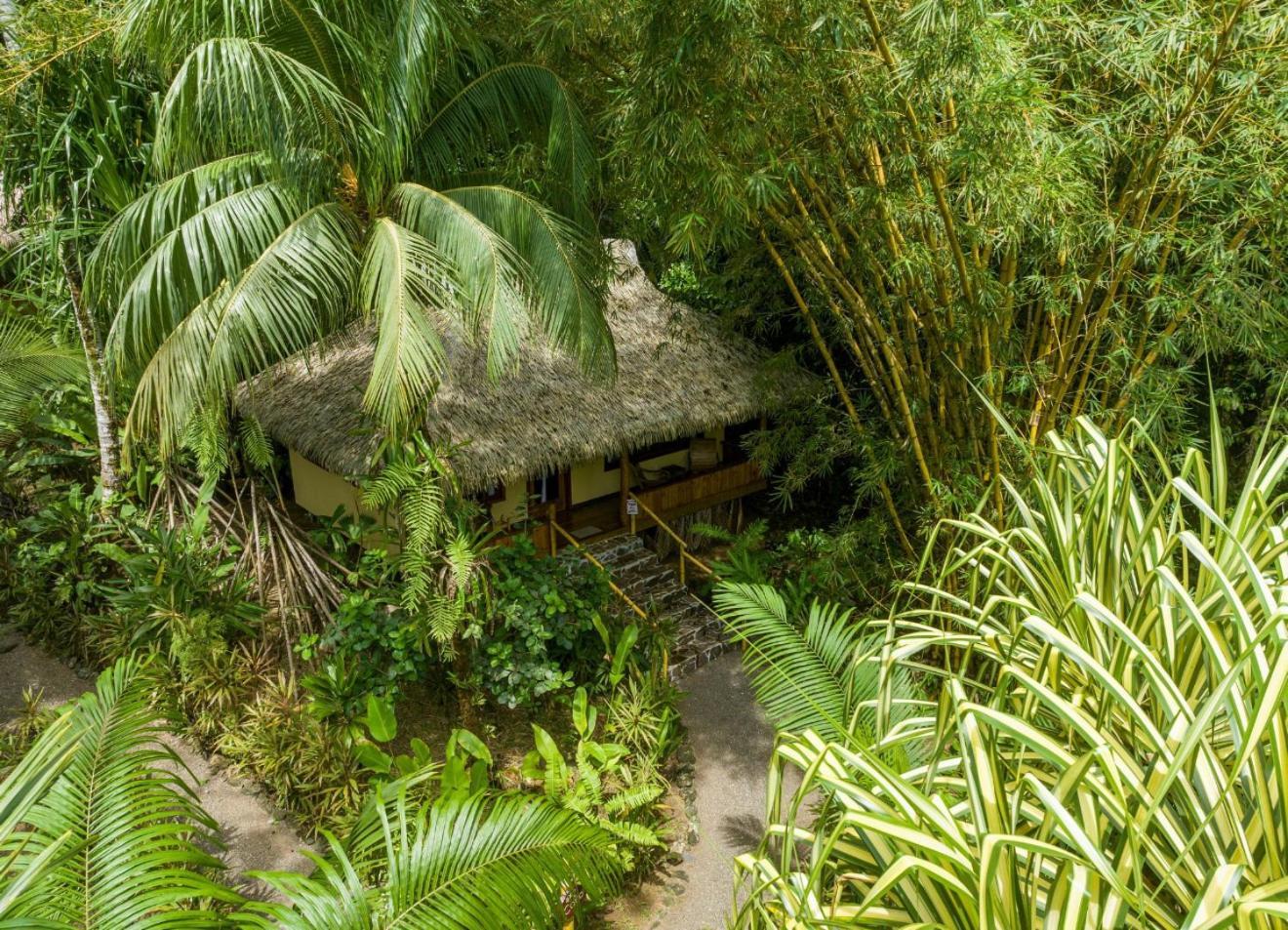 Copa De Arbol Beach & Rainforest Resort Drake Bay Ruang foto