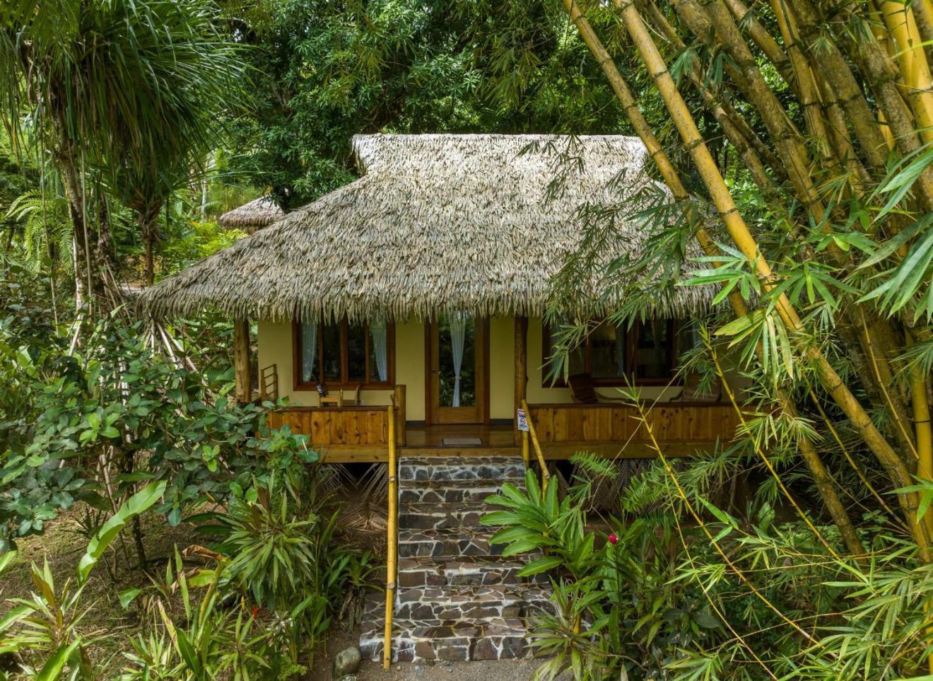Copa De Arbol Beach & Rainforest Resort Drake Bay Bagian luar foto