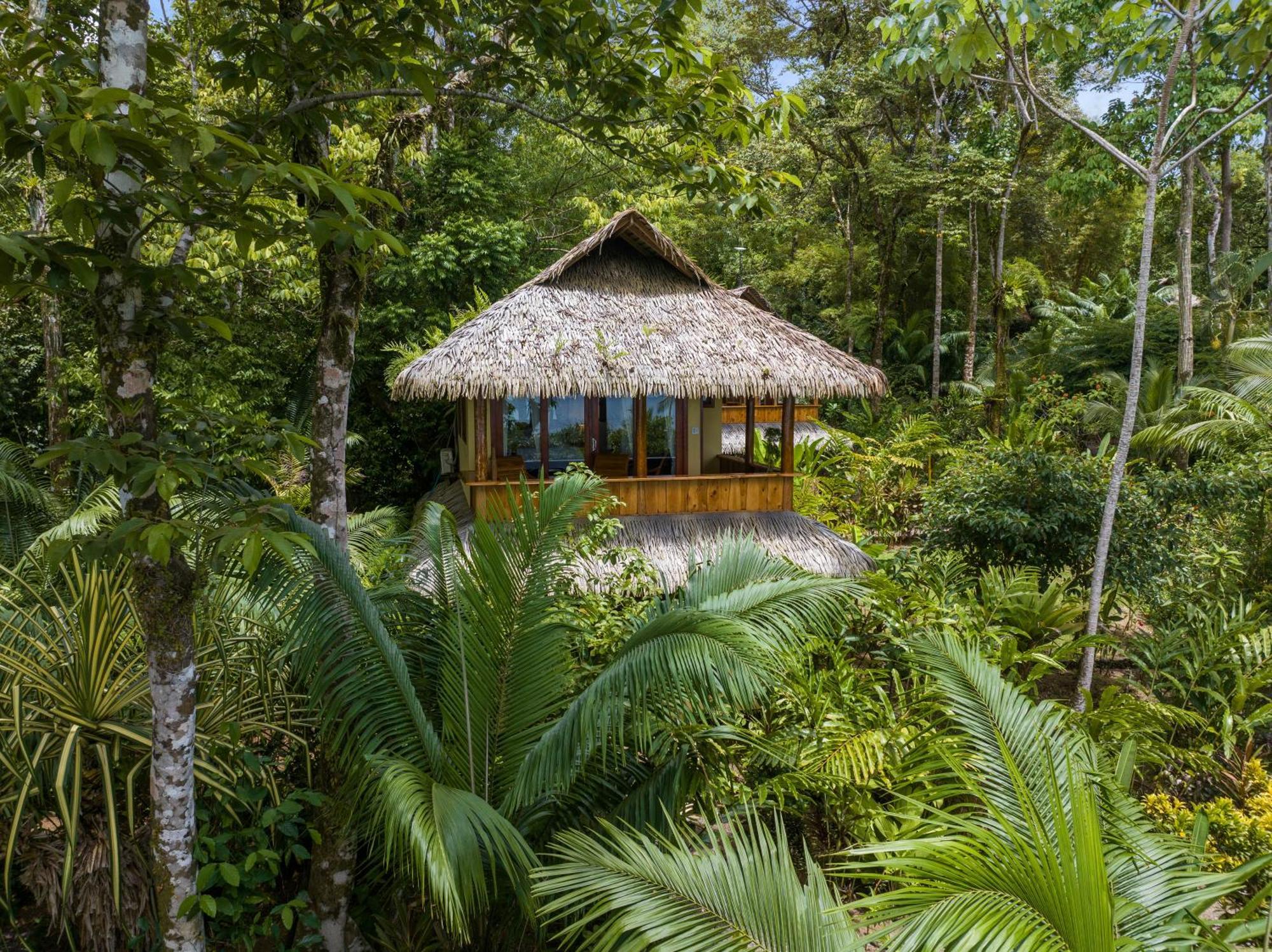 Copa De Arbol Beach & Rainforest Resort Drake Bay Ruang foto