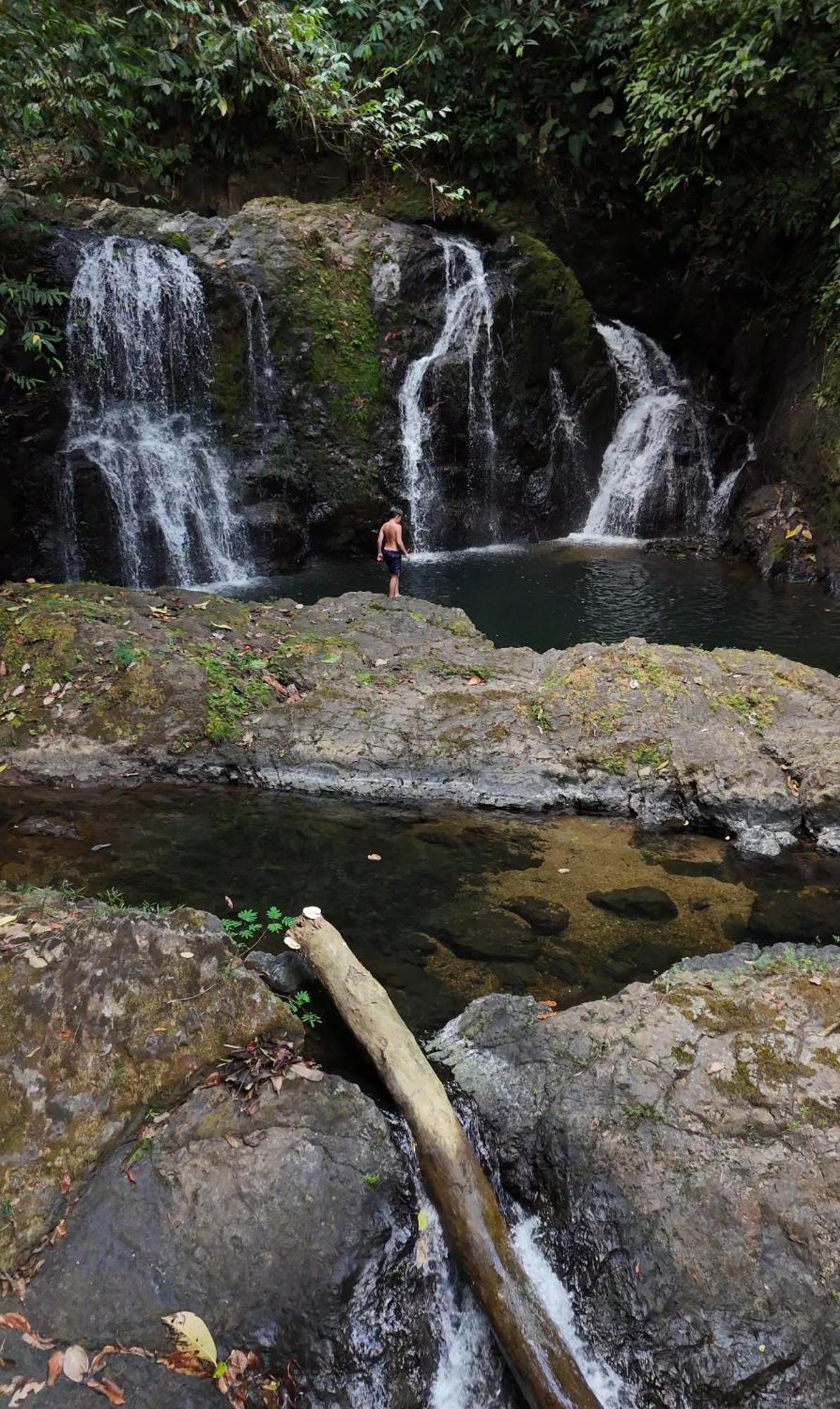 Copa De Arbol Beach & Rainforest Resort Drake Bay Bagian luar foto