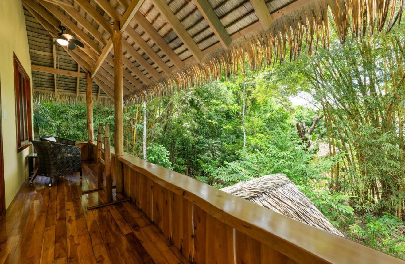 Copa De Arbol Beach & Rainforest Resort Drake Bay Bagian luar foto