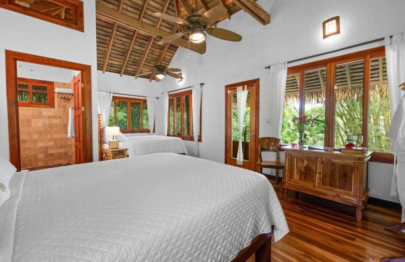 Copa De Arbol Beach & Rainforest Resort Drake Bay Bagian luar foto