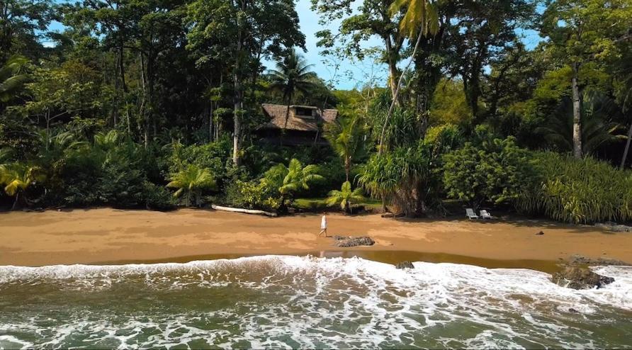 Copa De Arbol Beach & Rainforest Resort Drake Bay Bagian luar foto