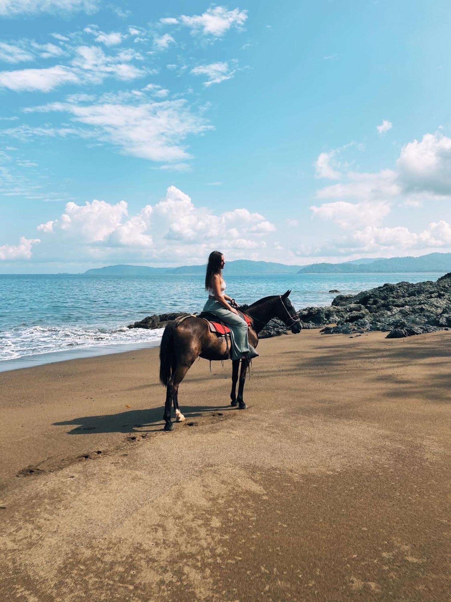 Copa De Arbol Beach & Rainforest Resort Drake Bay Bagian luar foto